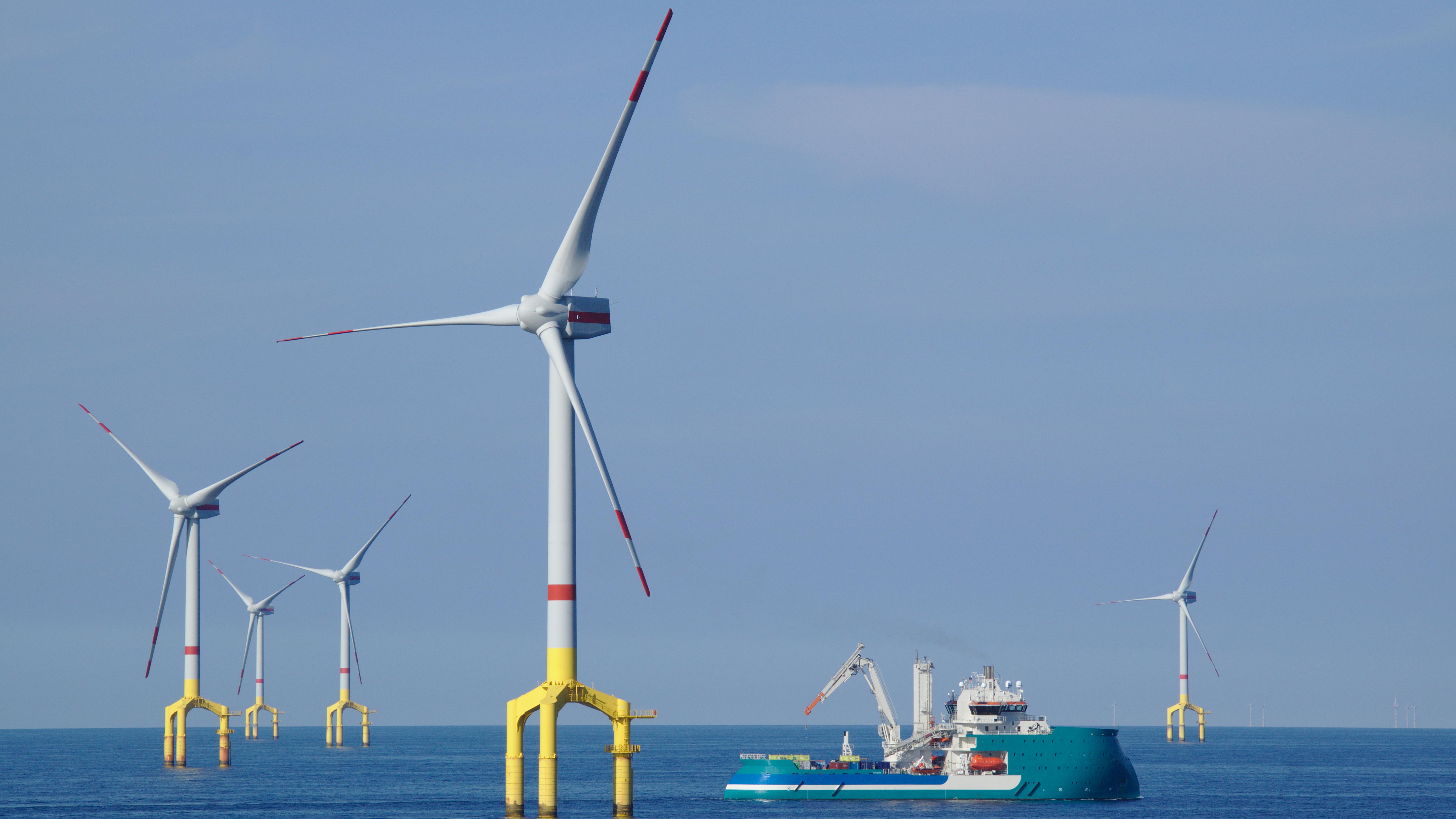 678aab8859fe5d5bd49ede72 Dreamstime Xxl 149951227