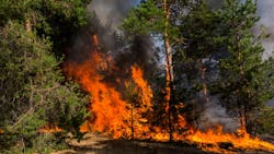 6797f240e05e649fccf09ac3 Dreamstime M 121896650 1 6797f240e05e649fccf09ac3 Dreamstime M 121896650 1