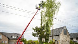 6797f49dbf08a8039c546564 Dreamstime M 31050426 2 6797f49dbf08a8039c546564 Dreamstime M 31050426 2