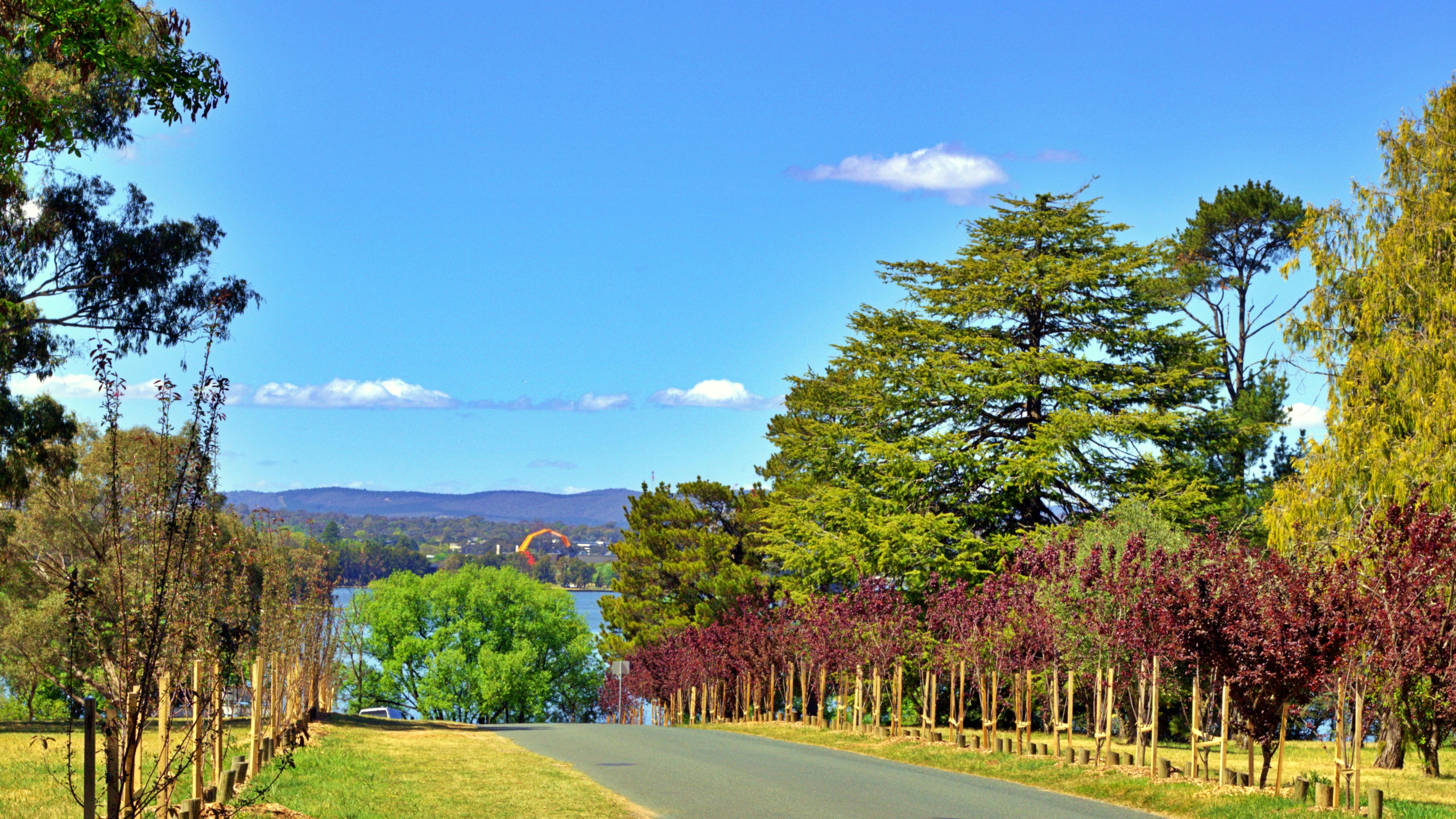 dreamstime_340326178