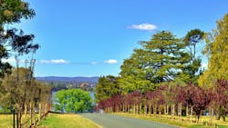 6797f839bf08a8039c5465ac Dreamstime 340326178 6797f839bf08a8039c5465ac Dreamstime 340326178