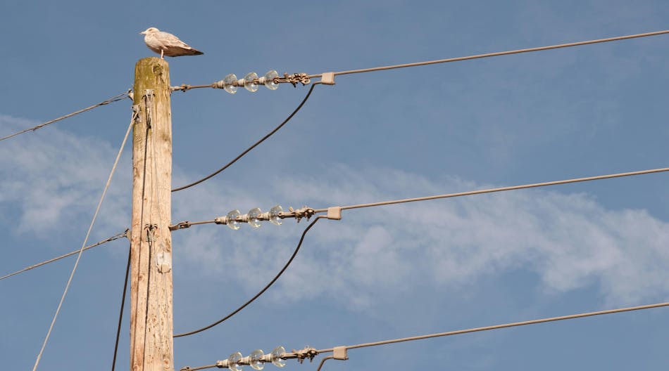 679a836f8e3c7c2d4219fed6 Dreamstime Xxl 35183455 679a836f8e3c7c2d4219fed6 Dreamstime Xxl 35183455