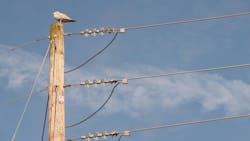 679a836f8e3c7c2d4219fed6 Dreamstime Xxl 35183455 679a836f8e3c7c2d4219fed6 Dreamstime Xxl 35183455