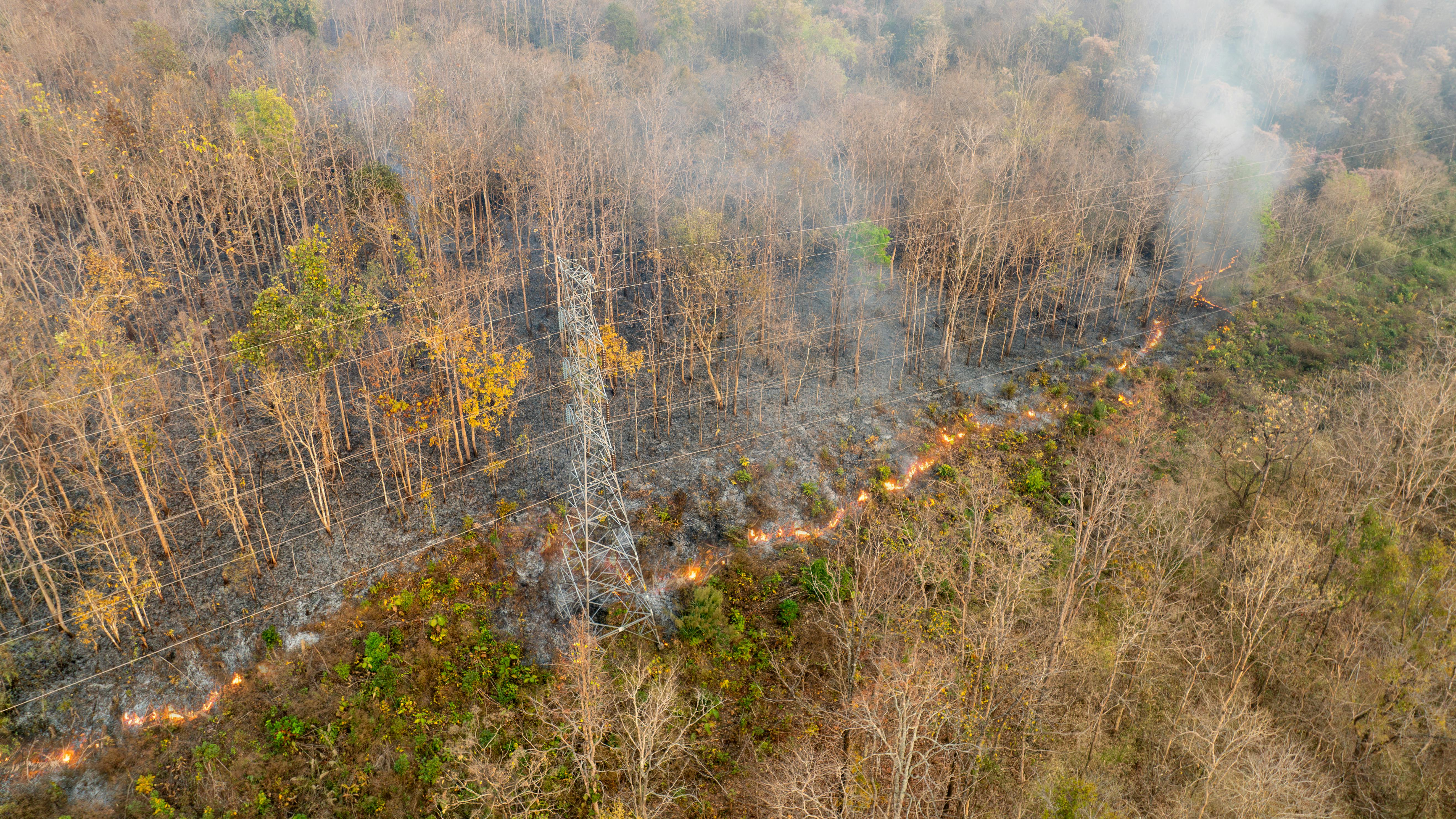 679a854611b7f04037637e65 Dreamstime Xxl 313182213