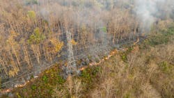 679a854611b7f04037637e65 Dreamstime Xxl 313182213 679a854611b7f04037637e65 Dreamstime Xxl 313182213