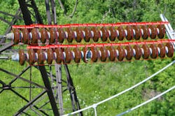 Insulators on NYPA transmission line show visibly broken insulator shells. Insulators on NYPA transmission line show visibly broken insulator shells.