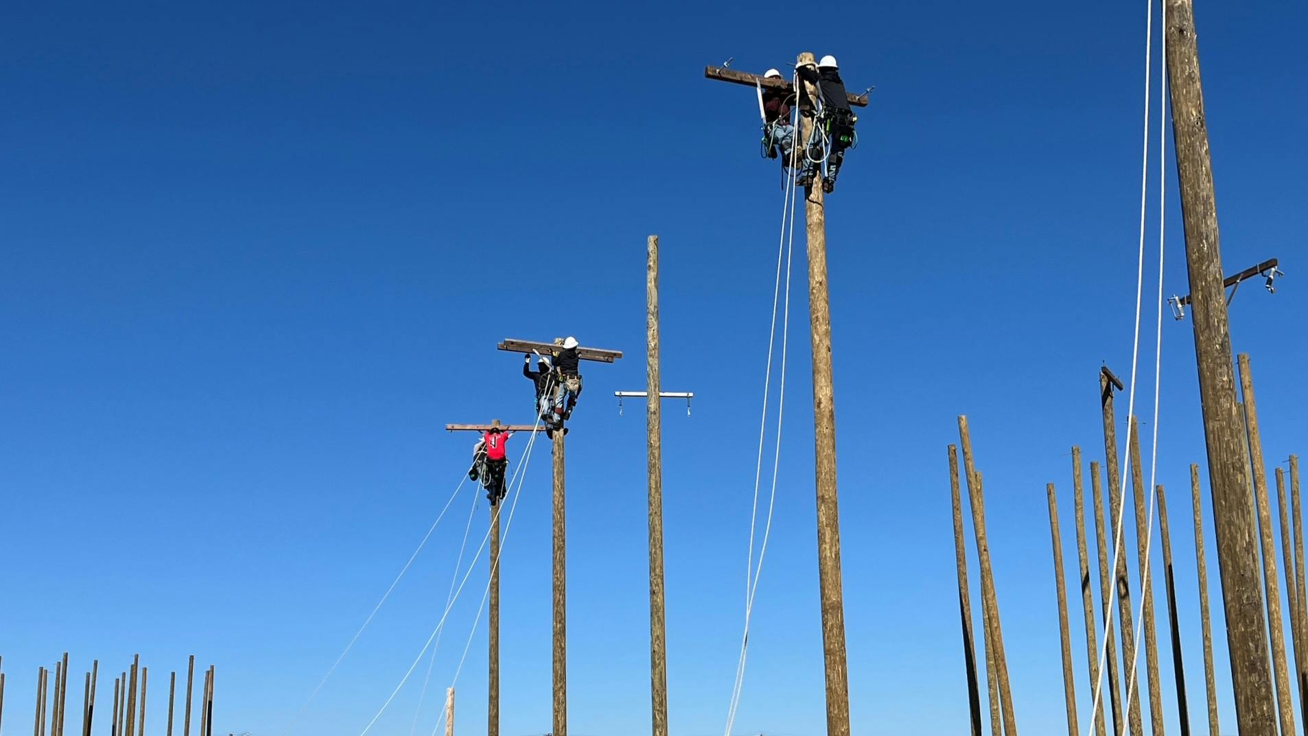 67a6366b8e8df259143e9581 27 Jan