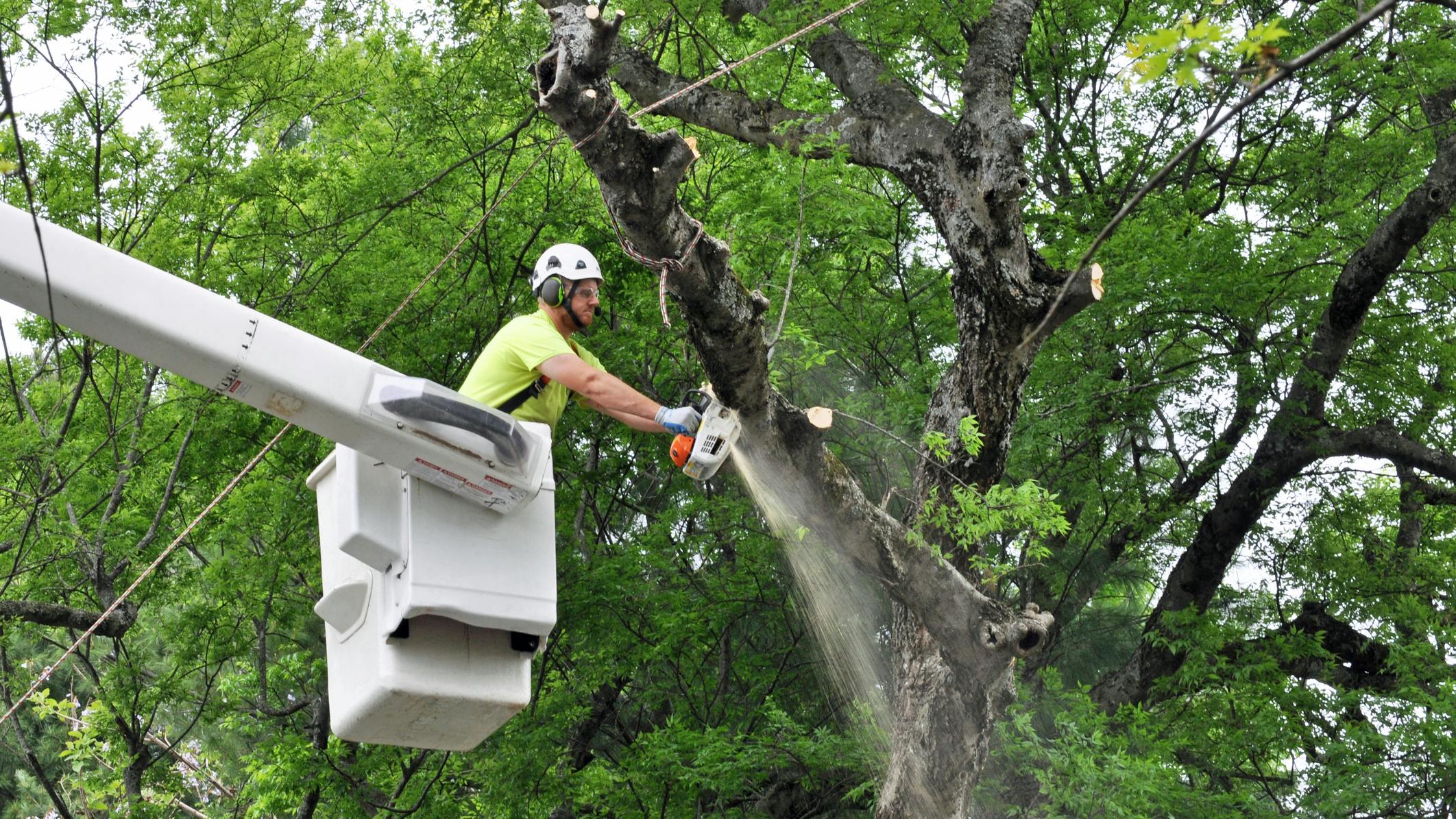 67aa3fac6e83b1c8e67b2f6c Dreamstime M 71052350