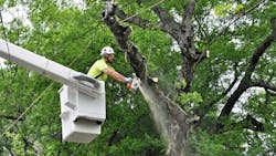 67aa3fac6e83b1c8e67b2f6c Dreamstime M 71052350 67aa3fac6e83b1c8e67b2f6c Dreamstime M 71052350