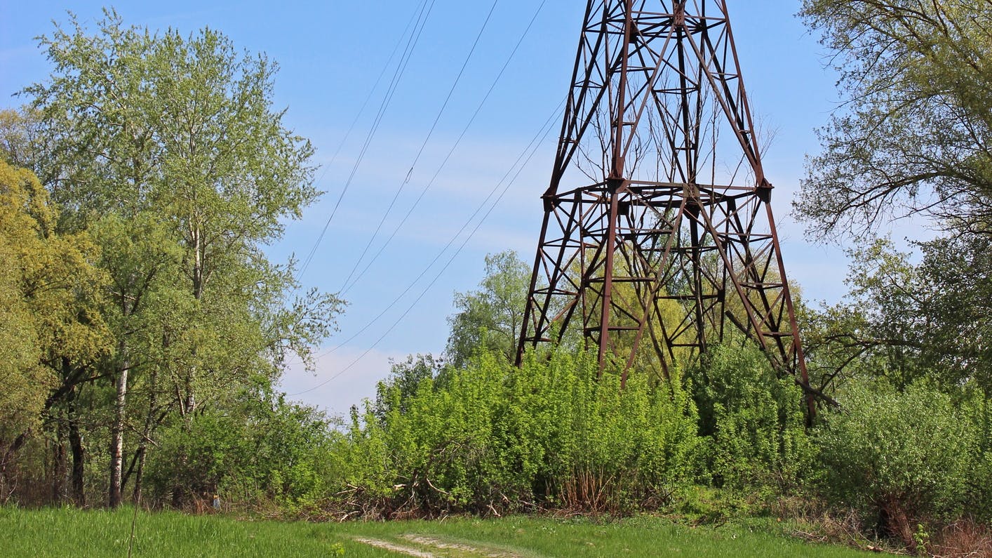 67ab901109f4255f3817d168 Dreamstime M 77859274