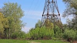 67ab901109f4255f3817d168 Dreamstime M 77859274 67ab901109f4255f3817d168 Dreamstime M 77859274