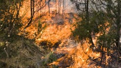 dreamstime_m_5016331 dreamstime_m_5016331