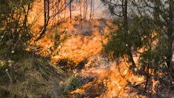 67bcf0e967473d26a69c103c Dreamstime M 5016331 67bcf0e967473d26a69c103c Dreamstime M 5016331