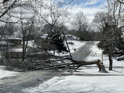 67ca30a22508508aaeb5c004 481952503 1052941300195486 188777589168857688 N 67ca30a22508508aaeb5c004 481952503 1052941300195486 188777589168857688 N