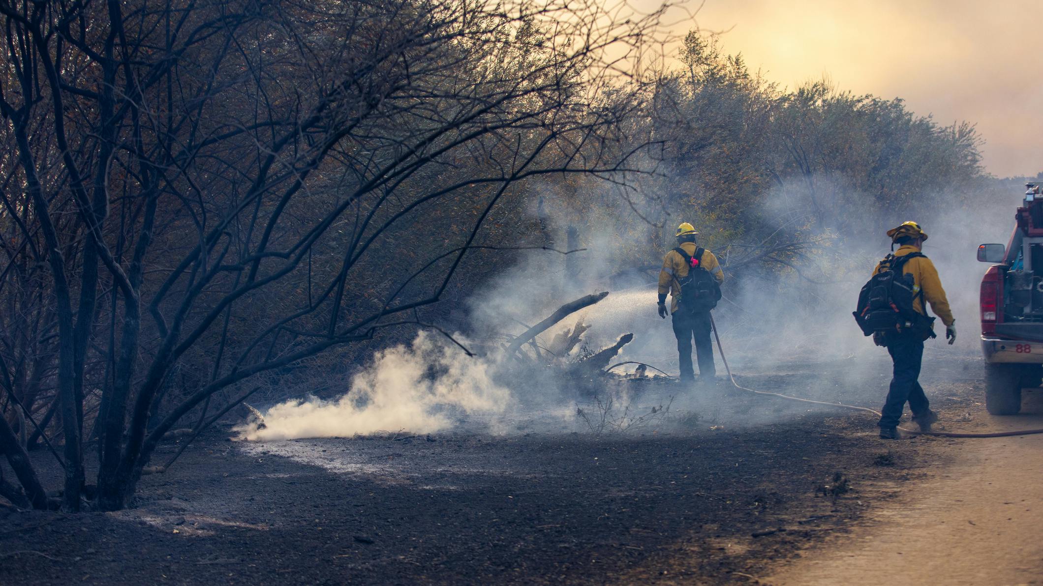 Eaton Fire: Smoke and Ash in Altadena.