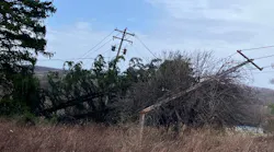 stormdamage940x520