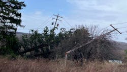 67d9b5e1d68d13c9e8c1f626 Stormdamage940x520 67d9b5e1d68d13c9e8c1f626 Stormdamage940x520