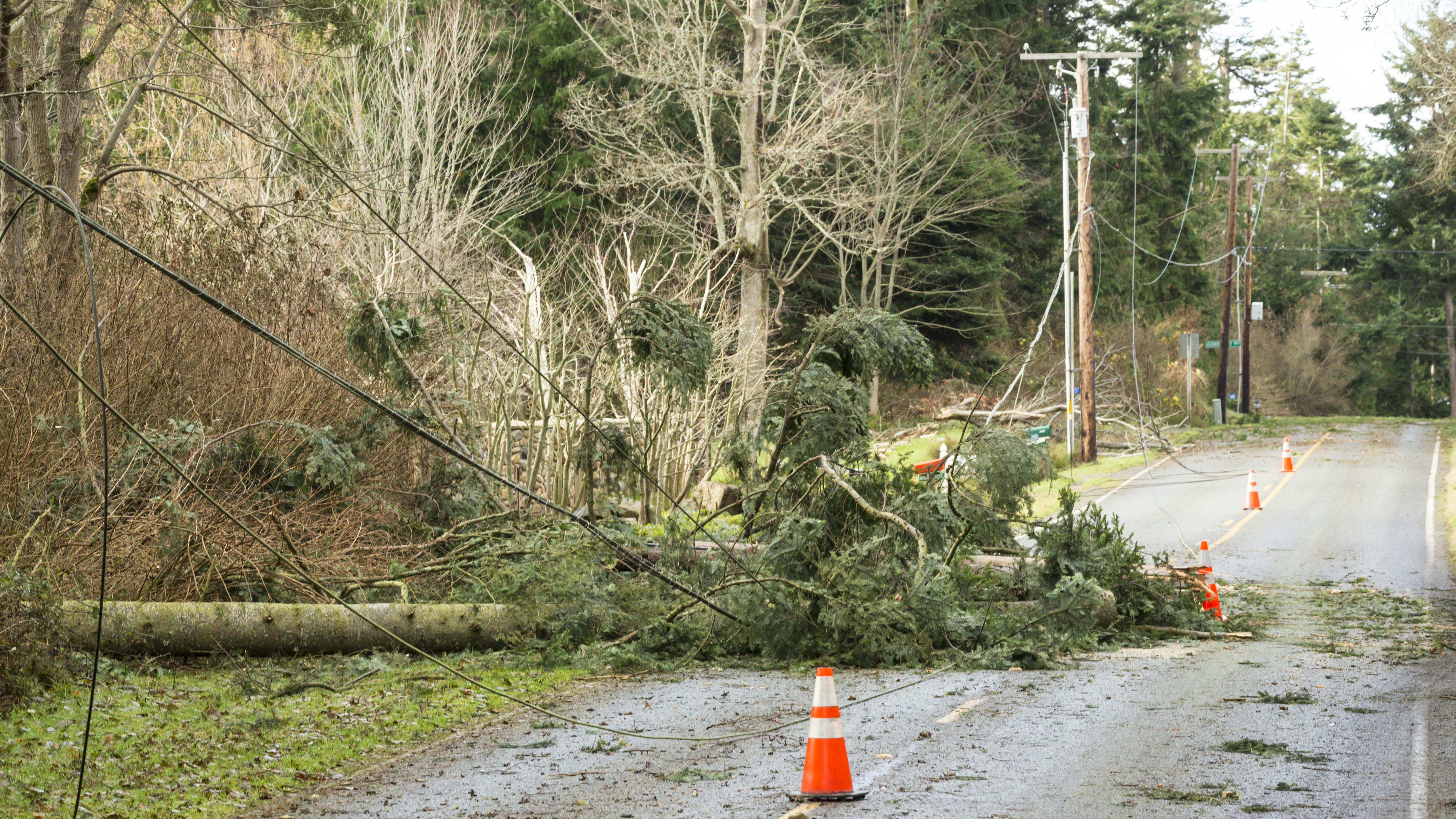 67dd69f6840278f0d939c21f Dreamstime Xxl 124577730