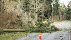 dreamstime_xxl_124577730 dreamstime_xxl_124577730