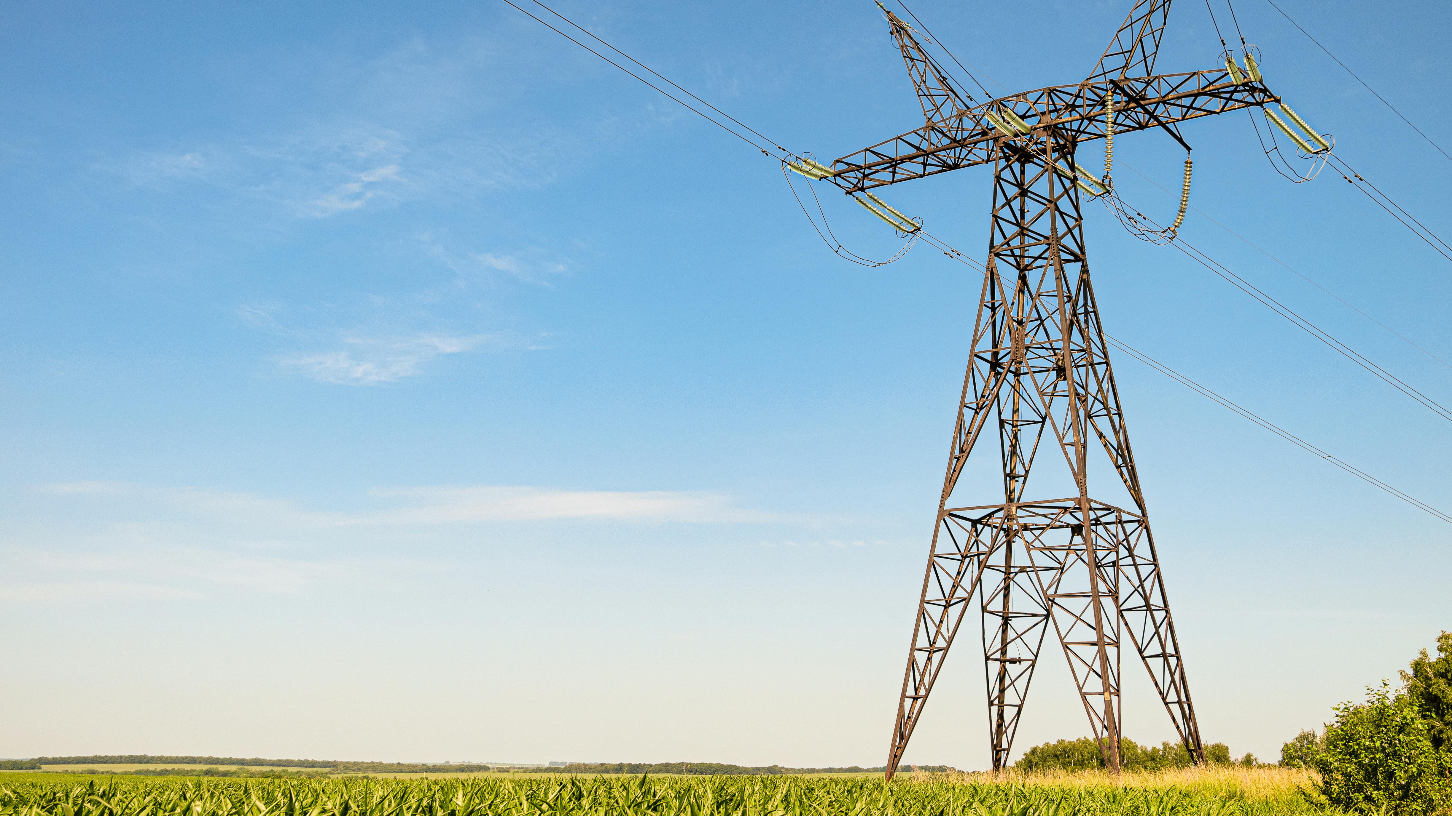 67dd6e0c4a75c51da5e5657f Dreamstime Xxl 164491805 3