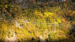 power lines over vegetation power lines over vegetation