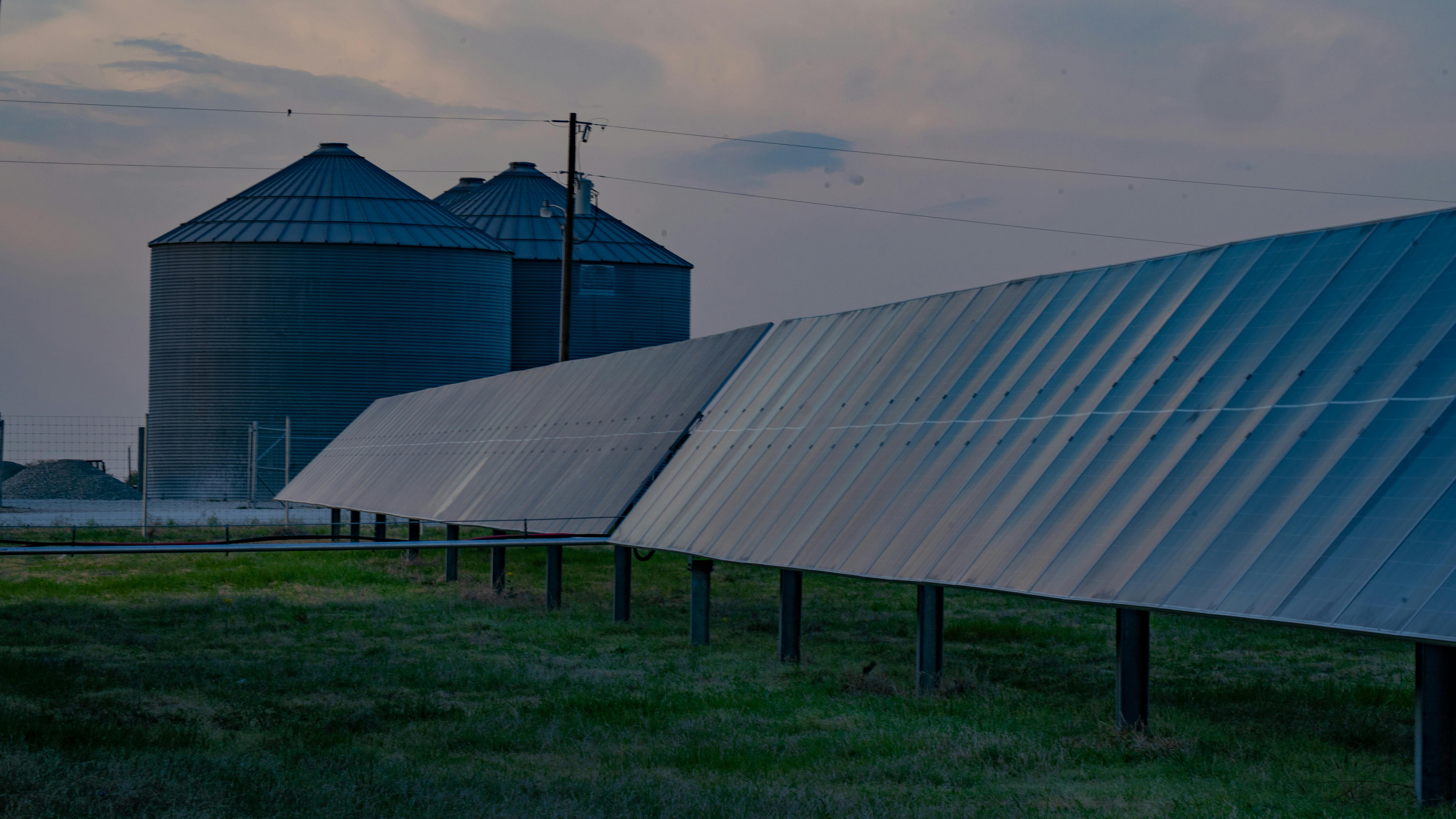 A row of panels at Avangrid's True North Solar project.