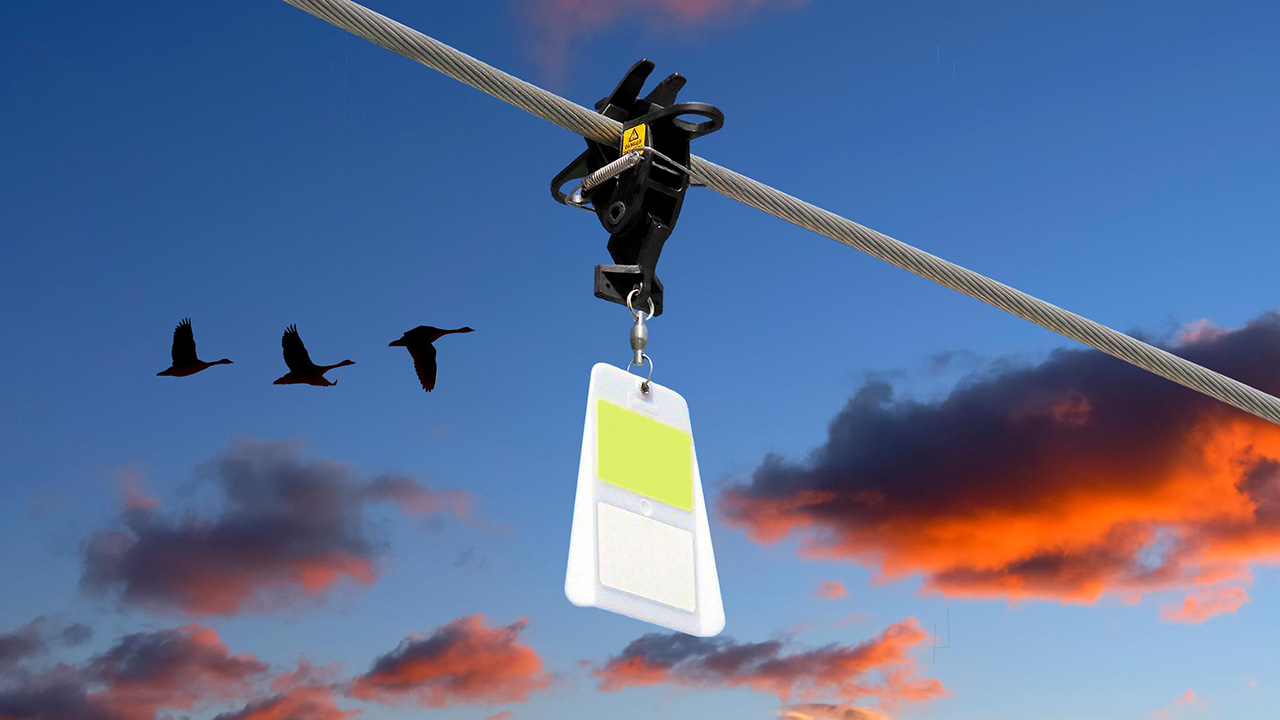 67ebfd72cd9574df7a98b911 1743454438 Prtech 1280x720 Primaryimage 20250401