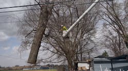 67eff12783bbb432030f0126 Cahokia Heights Tree Removal 67eff12783bbb432030f0126 Cahokia Heights Tree Removal