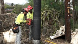 Hawaiian Electric crews install wire mesh as a fire retardant to protect its utility poles in Waiʻanae, Oʻahu. Hawaiian Electric crews install wire mesh as a fire retardant to protect its utility poles in Waiʻanae, Oʻahu.