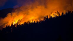 dreamstime_xxl_55989370_1 dreamstime_xxl_55989370_1