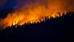 67f67fc634364227050213bc Dreamstime Xxl 55989370 1 67f67fc634364227050213bc Dreamstime Xxl 55989370 1