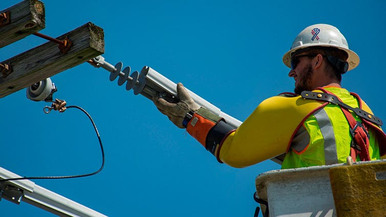 Rubber animal guards
