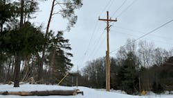 67fd1913a5944d159aab9f2c Newpoleline 67fd1913a5944d159aab9f2c Newpoleline