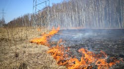 1744926736___indji_articleimage_1280x720_tdw_nap_2 1744926736___indji_articleimage_1280x720_tdw_nap_2