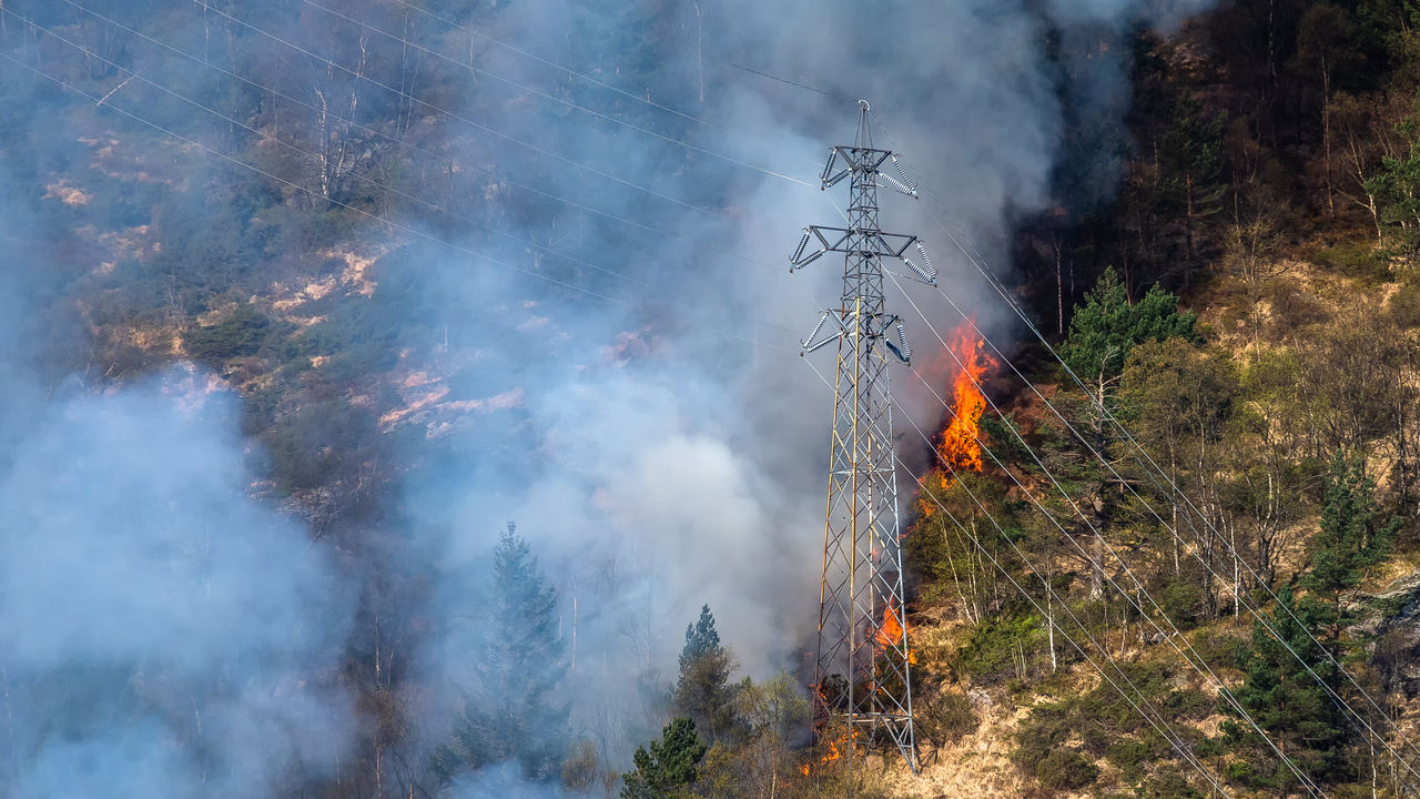 68025f2900e55fb22e5bdc67 1744926788 Indji Primaryimage 1280x720 Tdw Nap 2