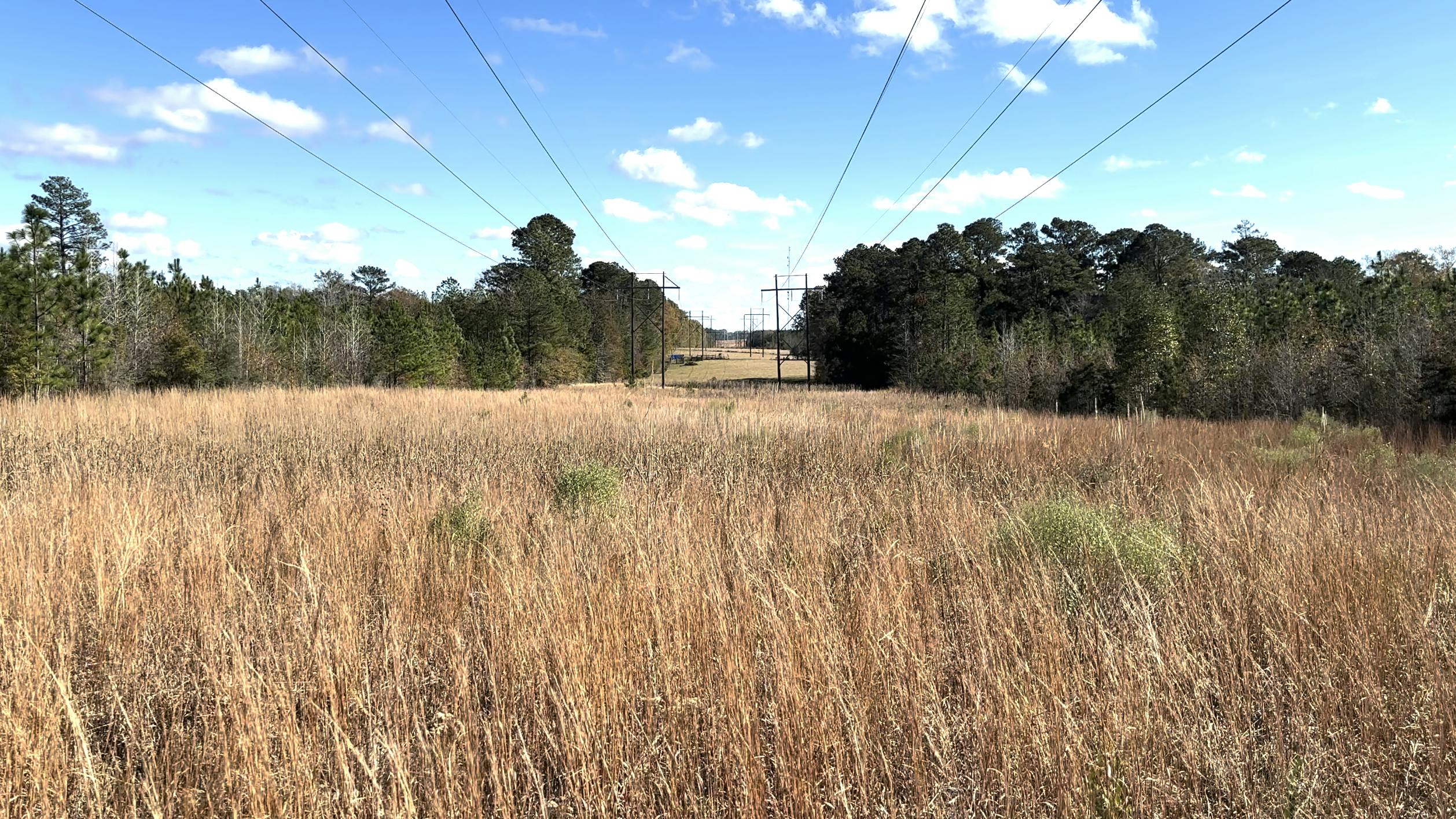 Wes Graham and Brad Morris credit forward-thinking managers and executives for their willingness to adopt a new vegetation management plan in the wake of Hurricane Katrina.