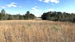 Wes Graham and Brad Morris credit forward-thinking managers and executives for their willingness to adopt a new vegetation management plan in the wake of Hurricane Katrina. Wes Graham and Brad Morris credit forward-thinking managers and executives for their willingness to adopt a new vegetation management plan in the wake of Hurricane Katrina.