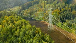 trees by powerlines trees by powerlines