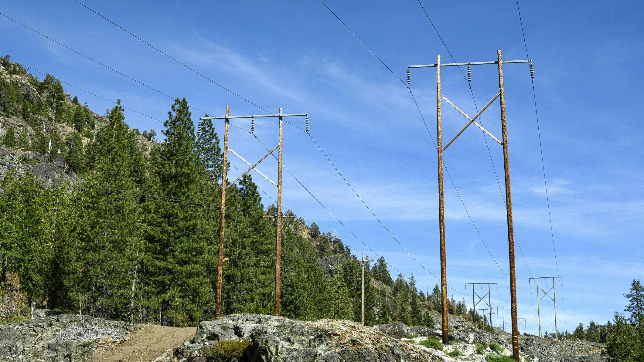 power lines by trees in California
