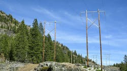power lines by trees in California power lines by trees in California