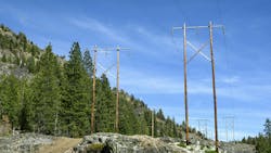 power lines by trees in California power lines by trees in California