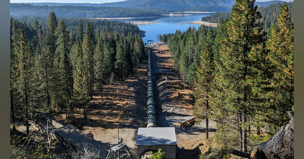 Ecological Stewardship in Utility Corridors: Supporting Biodiversity ...