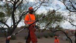 SRP worker planting trees SRP worker planting trees