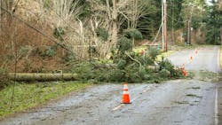 Vegetation outages are typically the leading cause of outages for electric utilities. Vegetation outages are typically the leading cause of outages for electric utilities.