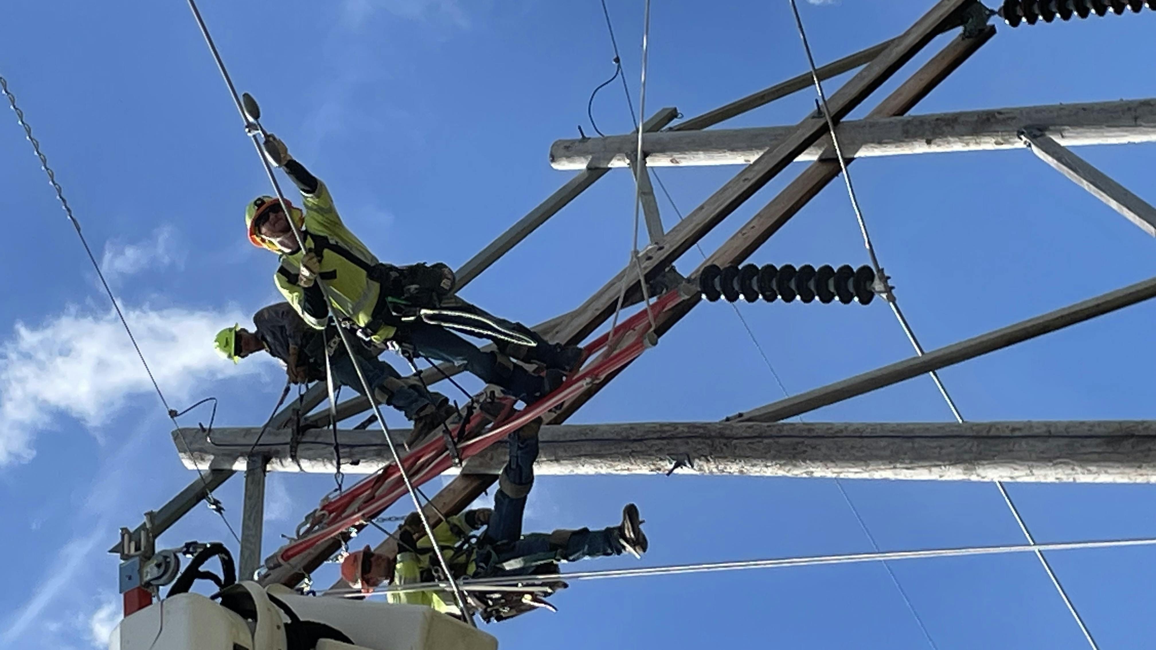To learn more about Vincent (Vinny) Napolitano and his career in the line trade as an apprentice, visit linelife.podbean.com to tune in to our &ldquo;Faces of the Future&rdquo; series for the Line Life Podcast.