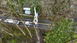 68126f69849cf9632a1e284c Pge And Antfarm Vegetation Management 004hires 68126f69849cf9632a1e284c Pge And Antfarm Vegetation Management 004hires