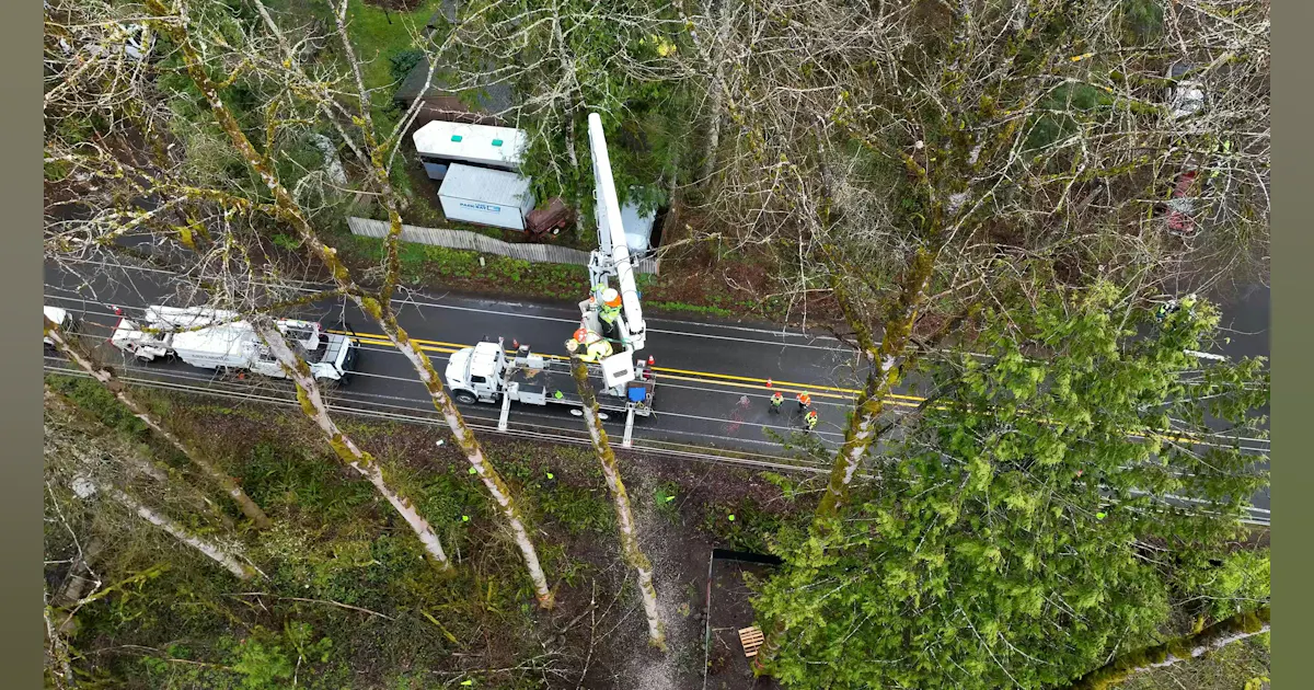 PGE Provides Demonstration on Safe Tree-Trimming Near Power Lines in ...