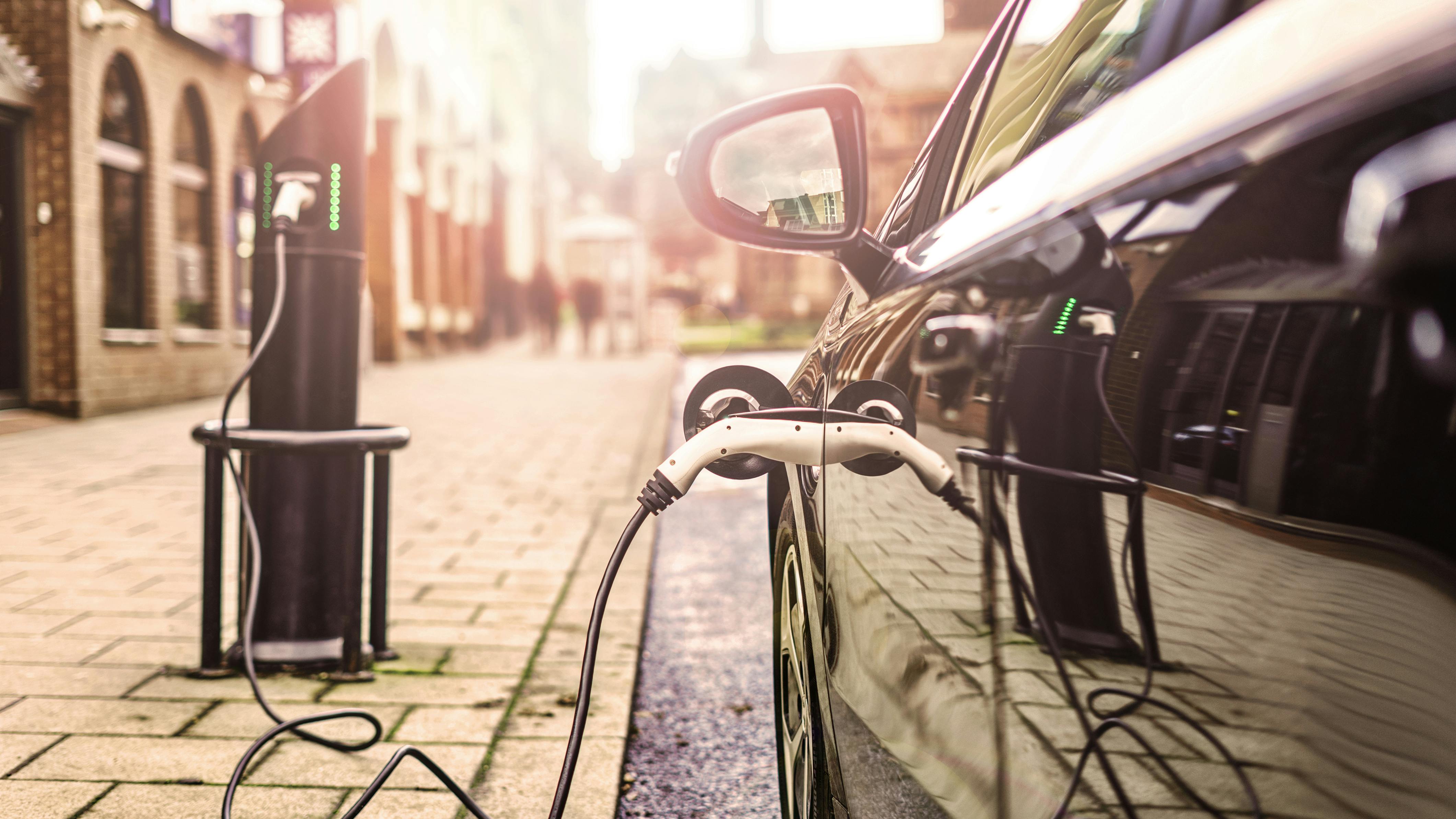 6818c335731dfd28897d3af1 Dreamstime Xxl 113579896