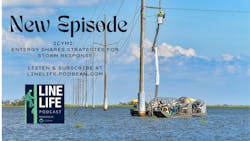 6827a94875e0cf5d8062fdcf Green Food Collage Youtube Thumbnail 1 6827a94875e0cf5d8062fdcf Green Food Collage Youtube Thumbnail 1