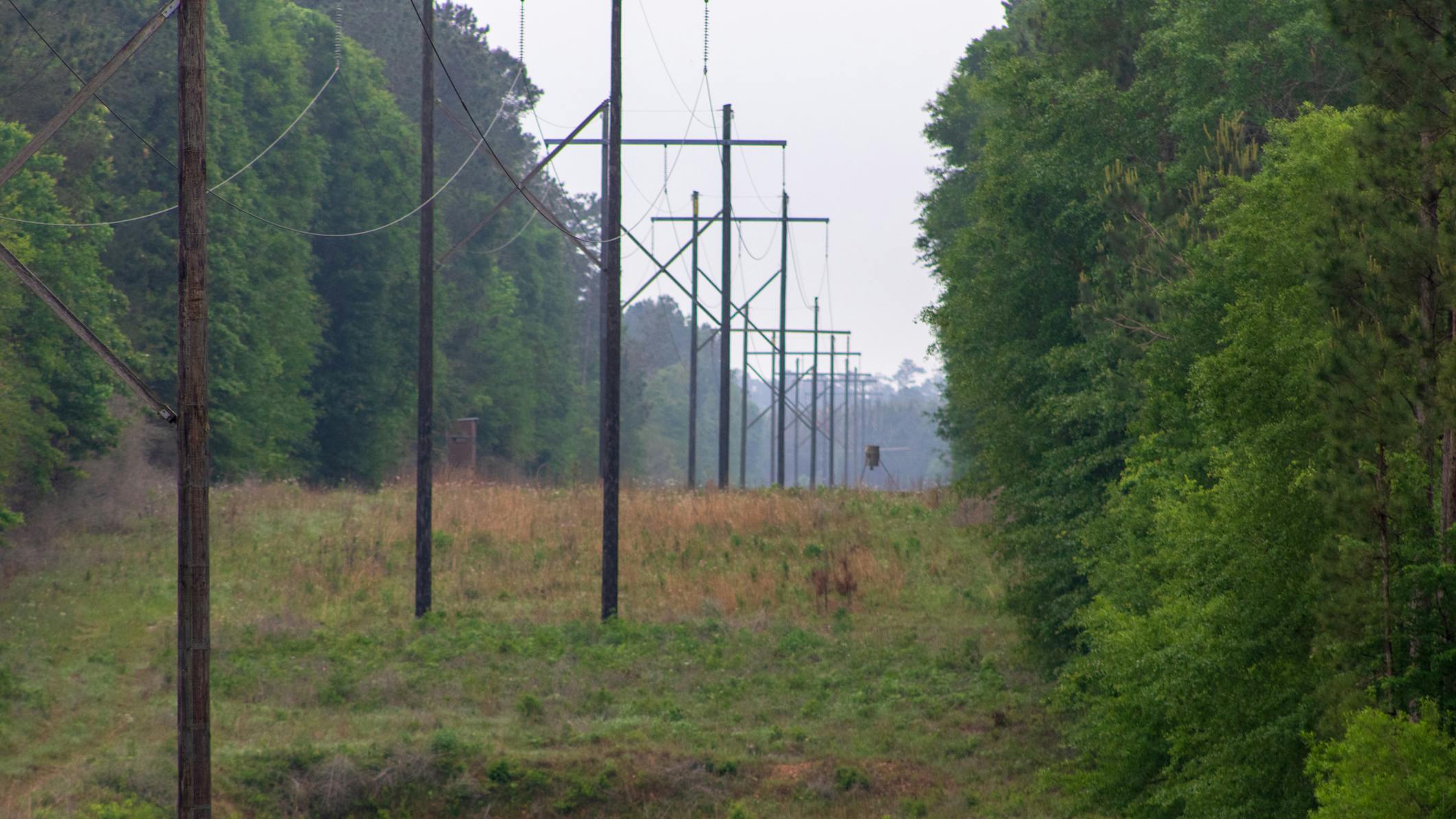 right of way with trees and power lines